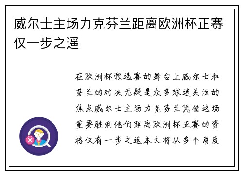 威尔士主场力克芬兰距离欧洲杯正赛仅一步之遥 威尔士主场力克芬兰距离欧洲杯正赛仅一步之遥